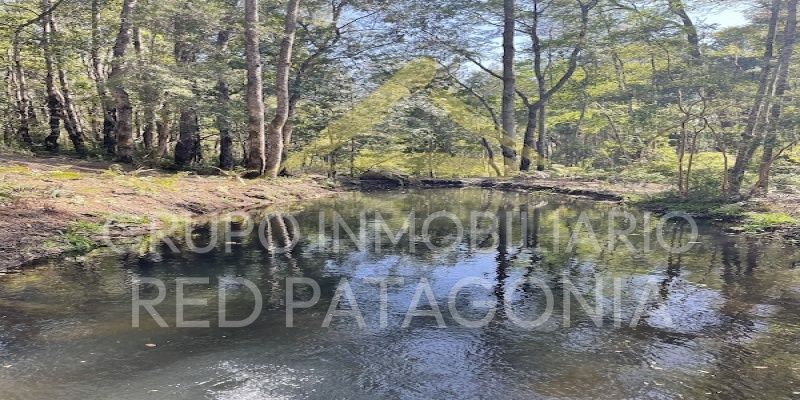 Lincoyan 336, Araucanía, ,Parcela,Venta,1355