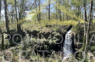 Lincoyan 336, Araucanía, ,Parcela,Venta,1355