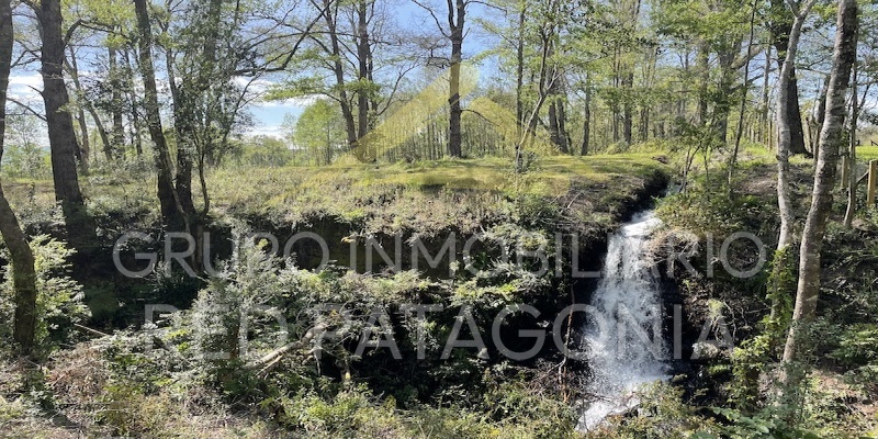 Lincoyan 336, Araucanía, ,Parcela,Venta,1355