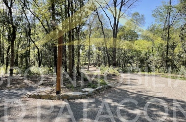 Lincoyan 336, Araucanía, ,Parcela,Venta,1355