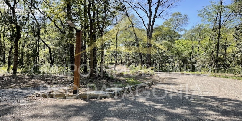 Lincoyan 336, Araucanía, ,Parcela,Venta,1355