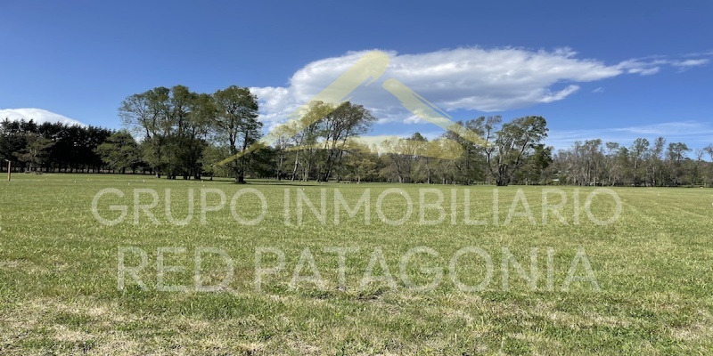 Lincoyan 336, Araucanía, ,Parcela,Venta,1355