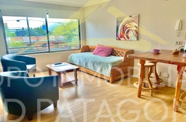 LINCOYAN, Araucanía, 2 Habitaciones Habitaciones, ,1 BañoBathrooms,Departamento,Venta,1362