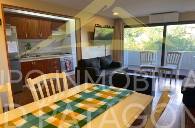 LINCOYAN 336, Araucanía, 2 Habitaciones Habitaciones, ,2 BathroomsBathrooms,Departamento,Venta,1385