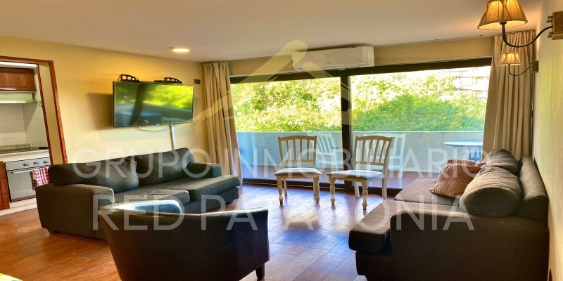 LINCOYAN 336, Araucanía, 2 Habitaciones Habitaciones, ,2 BathroomsBathrooms,Departamento,Venta,1385