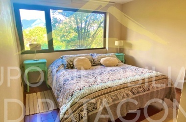 LINCOYAN 336, Araucanía, 2 Habitaciones Habitaciones, ,2 BathroomsBathrooms,Departamento,Venta,1385