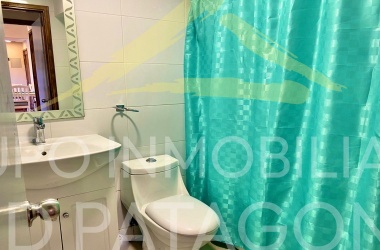 LINCOYAN 336, Araucanía, 2 Habitaciones Habitaciones, ,2 BathroomsBathrooms,Departamento,Venta,1385