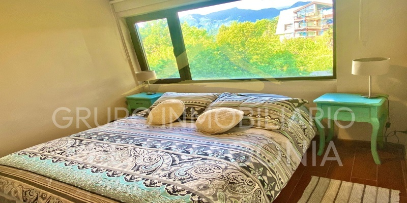 LINCOYAN 336, Araucanía, 2 Habitaciones Habitaciones, ,2 BathroomsBathrooms,Departamento,Venta,1385