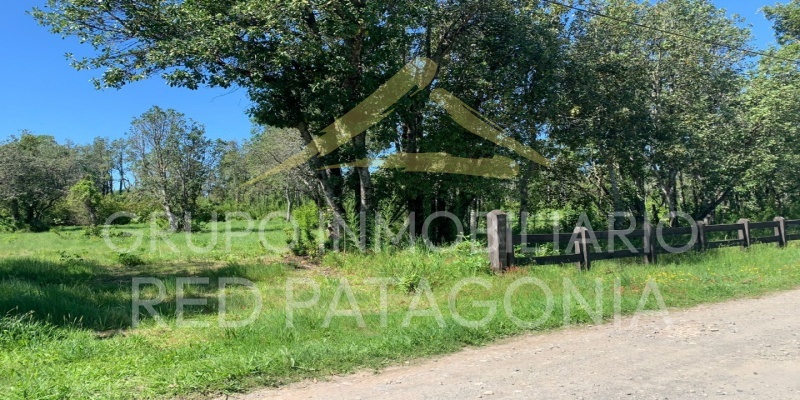 336 Lincoyan, Araucanía, ,Parcela,Venta,Lincoyan,1386