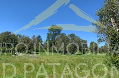 336 Lincoyan, Araucanía, ,Parcela,Venta,Lincoyan,1386