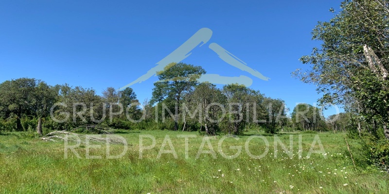 336 Lincoyan, Araucanía, ,Parcela,Venta,Lincoyan,1386