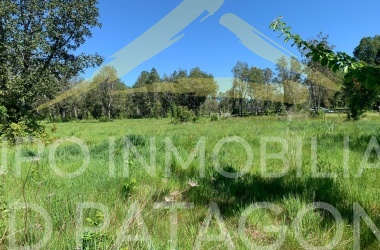 336 Lincoyan, Araucanía, ,Parcela,Venta,Lincoyan,1386