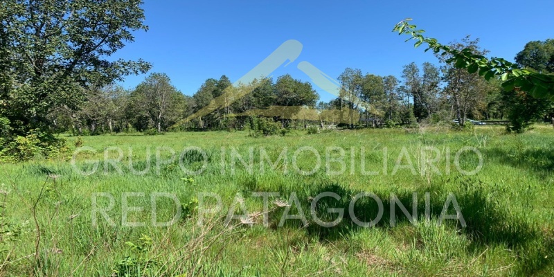 336 Lincoyan, Araucanía, ,Parcela,Venta,Lincoyan,1386