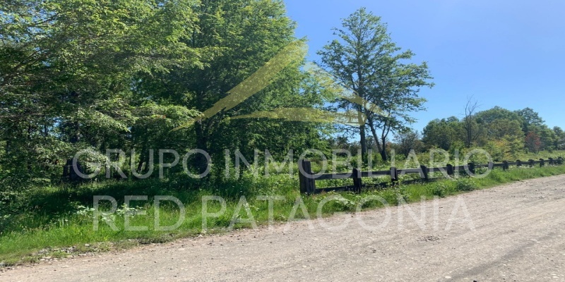 336 Lincoyan, Araucanía, ,Parcela,Venta,Lincoyan,1387