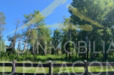 336 Lincoyan, Araucanía, ,Parcela,Venta,Lincoyan,1387