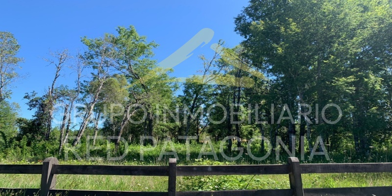 336 Lincoyan, Araucanía, ,Parcela,Venta,Lincoyan,1387