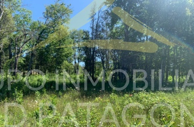 336 Lincoyan, Araucanía, ,Parcela,Venta,Lincoyan,1387