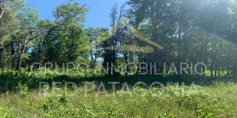 336 Lincoyan, Araucanía, ,Parcela,Venta,Lincoyan,1387