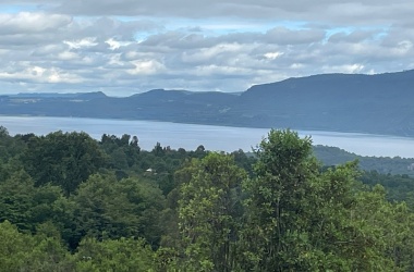 336, Lincoyan, Araucanía, ,Parcela,Venta,1389