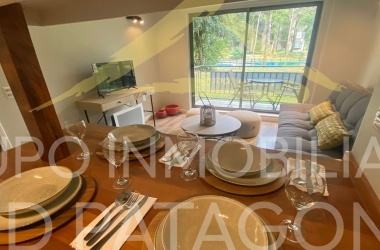 LINCOYAN 336, Araucanía, 1 Dormitorio Habitaciones, ,1 BañoBathrooms,Departamento,Venta,1398