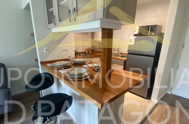 LINCOYAN 336, Araucanía, 1 Dormitorio Habitaciones, ,1 BañoBathrooms,Departamento,Venta,1398