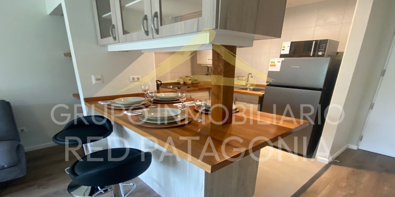 LINCOYAN 336, Araucanía, 1 Dormitorio Habitaciones, ,1 BañoBathrooms,Departamento,Venta,1398