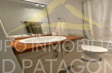 LINCOYAN 336, Araucanía, 1 Dormitorio Habitaciones, ,1 BañoBathrooms,Departamento,Venta,1398