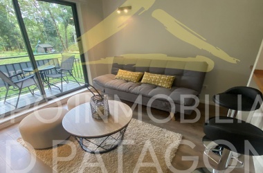 LINCOYAN 336, Araucanía, 1 Dormitorio Habitaciones, ,1 BañoBathrooms,Departamento,Venta,1398