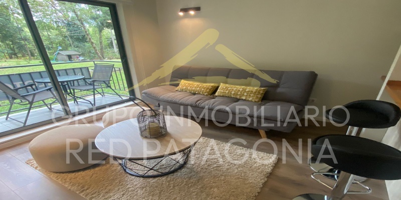 LINCOYAN 336, Araucanía, 1 Dormitorio Habitaciones, ,1 BañoBathrooms,Departamento,Venta,1398