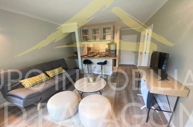 LINCOYAN 336, Araucanía, 1 Dormitorio Habitaciones, ,1 BañoBathrooms,Departamento,Venta,1398