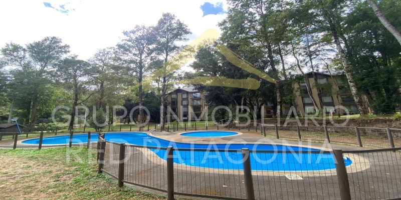 LINCOYAN 336, Araucanía, 1 Dormitorio Habitaciones, ,1 BañoBathrooms,Departamento,Venta,1398