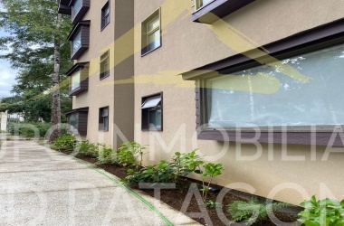 LINCOYAN 336, Araucanía, 1 Dormitorio Habitaciones, ,1 BañoBathrooms,Departamento,Venta,1398