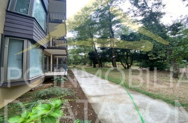 LINCOYAN 336, Araucanía, 1 Dormitorio Habitaciones, ,1 BañoBathrooms,Departamento,Venta,1398