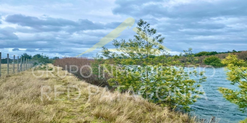 LINCOYAN 336, Araucanía, ,Terrenos,Venta,1404