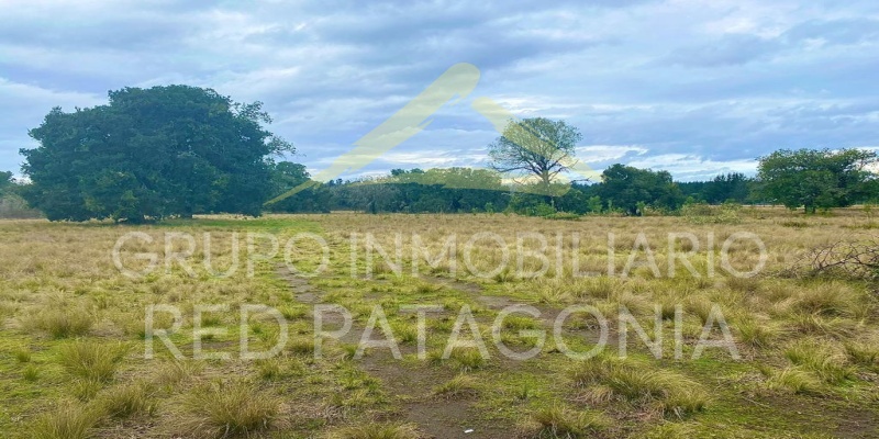 LINCOYAN 336, Araucanía, ,Terrenos,Venta,1404