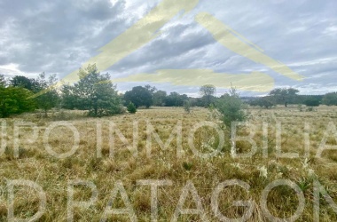 LINCOYAN 336, Araucanía, ,Terrenos,Venta,1404