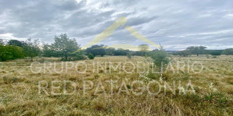 LINCOYAN 336, Araucanía, ,Terrenos,Venta,1404