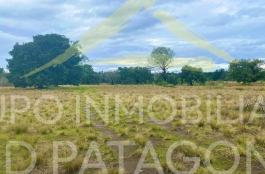 Araucanía, ,Parcela,Venta,1405