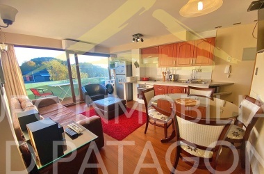 LINCOYAN 336, Araucanía, 2 Habitaciones Habitaciones, ,1 BañoBathrooms,Departamento,Venta,1409