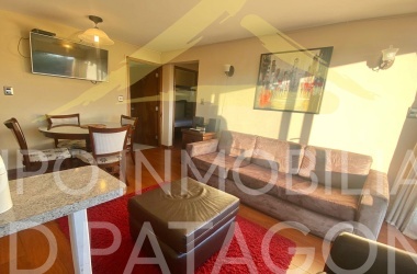 LINCOYAN 336, Araucanía, 2 Habitaciones Habitaciones, ,1 BañoBathrooms,Departamento,Venta,1409