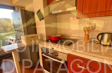 LINCOYAN 336, Araucanía, 2 Habitaciones Habitaciones, ,1 BañoBathrooms,Departamento,Venta,1409