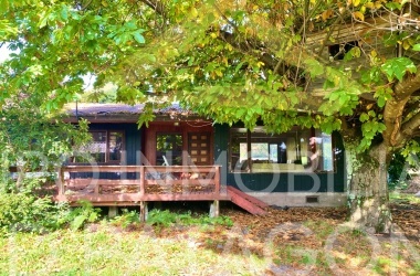 LINCOYAN 336, Araucanía, 3 Habitaciones Habitaciones, ,1 BañoBathrooms,Casa,Arriendo,1411