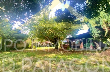 LINCOYAN 336, Araucanía, 3 Habitaciones Habitaciones, ,1 BañoBathrooms,Casa,Arriendo,1411