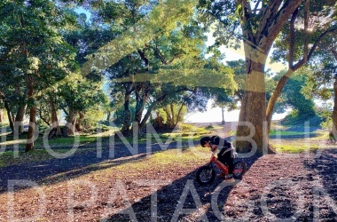 LINCOYAN 336, Araucanía, 3 Habitaciones Habitaciones, ,1 BañoBathrooms,Departamento,Venta,1413