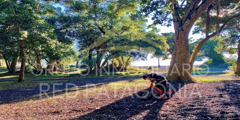 LINCOYAN 336, Araucanía, 3 Habitaciones Habitaciones, ,1 BañoBathrooms,Departamento,Venta,1413