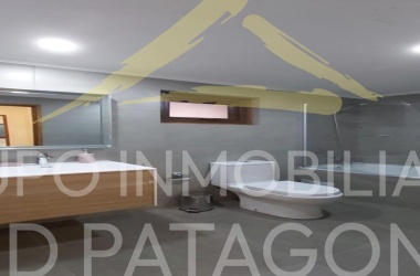 LINCOYAN 336, Araucanía, 1 Dormitorio Habitaciones, ,1 BañoBathrooms,Departamento,Venta,1419