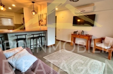 LINCOYAN 336, Araucanía, 1 Dormitorio Habitaciones, ,1 BañoBathrooms,Departamento,Venta,1419