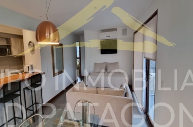 LINCOYAN 336, Araucanía, 2 Habitaciones Habitaciones, ,1 BañoBathrooms,Departamento,Venta,1420