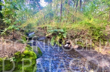 LINCOYAN 336, Araucanía, 2 Habitaciones Habitaciones, ,1 BañoBathrooms,Casa,Venta,1424