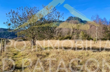 Araucanía, ,Terrenos,Venta,1432